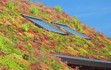 Sculthorpe living roof systems